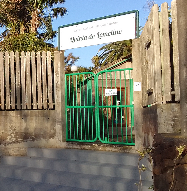 Jardim Botânico no Faial Açores