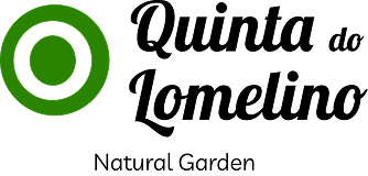 Quinta do Lomelino - Jardim Natural - Ilha do Faial - Açores